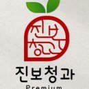 진보청과