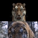 대호슈퍼 이미지