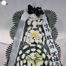 양천효병원장례식장