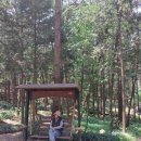 동행 65. (구례 천은사 상생의 길 – 천개의 향나무 숲 – 구례수목원 – 수락폭포) 이미지