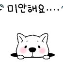 원주모터스 이미지