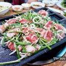 천연애성서점 이미지