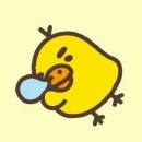 조은느낌 이미지