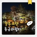 경주 여행코스 추천 동궁과월지 안압지 주말 연휴 야경 주차 매표소 후기