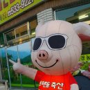 창녕식육점 - 창원시 마산회원구 합성남9길 62 | 창녕식육점