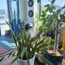 SM휘트니스 이미지