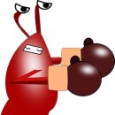 로하스복싱클럽 이미지