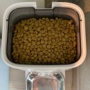 파파펫푸드 이미지