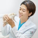 송파바로동물병원 이미지