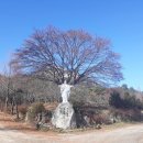 (주)위무