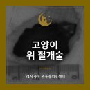 내곁에 동물병원 | 24시 영종도동물병원 고양이 구토 반복 이물 삼킴 개복 수술 후기