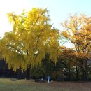 힐모텔앤펜션 이미지