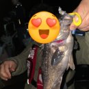 캐스팅 | 군산 장자도 🎣 낚시배 크루즈호 야간캐스팅게임 후기! 우럭 미친 손맛 제대로 느끼다🐟