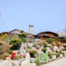 테라롯지 이미지