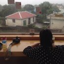 제주써니 이미지