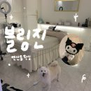 하프타임연산점 | 부산 연산동 브라질리언 왁싱 잘하는 곳 추천 블링진