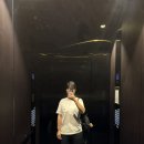 박싱캐리어