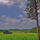 서강목장 이미지