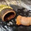 수빈목장 이미지