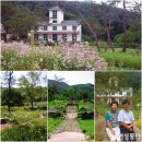 글로리아 이미지