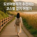 순천만 갈대밭 | 도보여행자가 추천하는 코스별 걷기 여행기