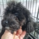 밀양대로 이미지