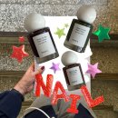 에이네일 | [네일] 디어에이 샤인 온 미 네일 후기🍇🌹🌳