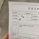 판교 예스의원 이미지