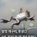 잉걸