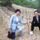 이춘식 농장 이미지