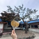 원조중원탑막국수(충북도청점) 네이버블로그