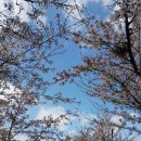 양재시민의숲역 5번출구 이미지