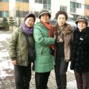 민들레향기