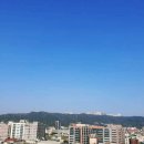 아지나라 이미지