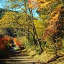 아름다운 노래, 민요 이미지