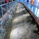 배나무골펜션 이미지