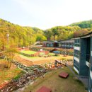 칠보청소년문화의집 다목적강당 | 공립 평창 자연휴양림 (강원도)