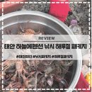 하늘에 | 태안 하늘에 펜션 낚시 해루질 10만원 패키지 후기 예약방법