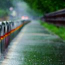 우두강둑길 이미지