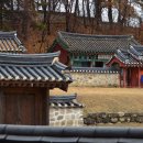 반구정습지 이미지