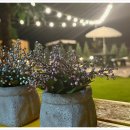 장성달빛펜션 이미지