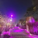 CU한라비발디점 이미지