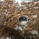 구포중학교 이미지