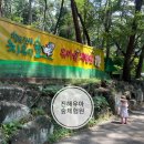 창원가볼만한 곳 창원편백 치유의 숲, 진해유아숲 체험원 (준비 팁, 놀이공간 등)