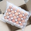 한길농부 농장 이미지