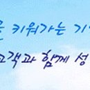 비엘컴