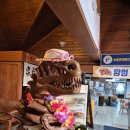 앙성 | 앙성온천 능암탄산온천 이용후기