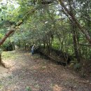 단산농장 이미지