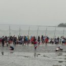 갯벌민박 이미지