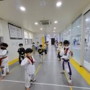 더힘찬태권도 이미지